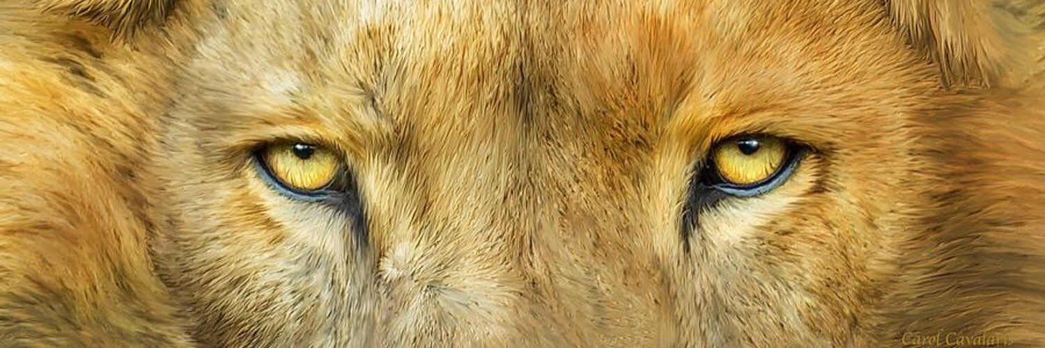 JordannTX's profile banner image