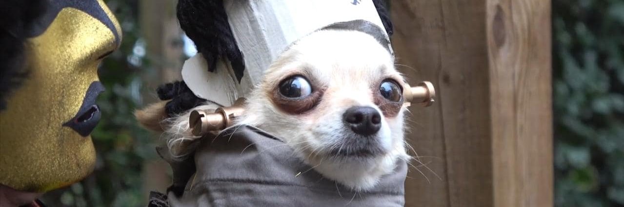kellyrisher's profile banner image