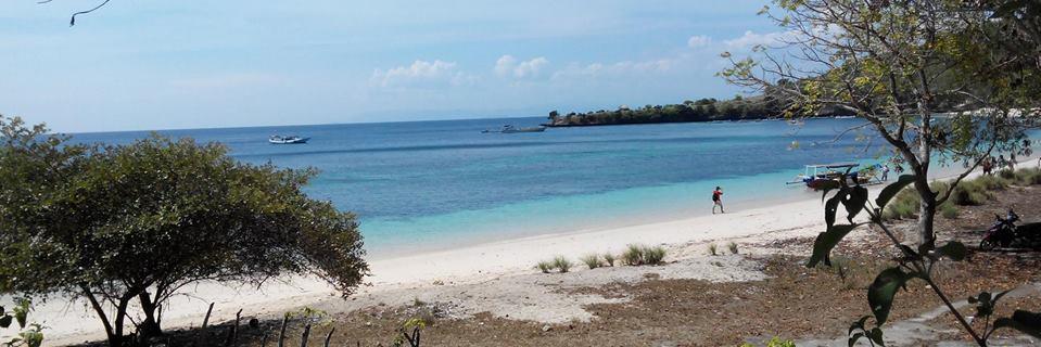 Pergi Pulang banner