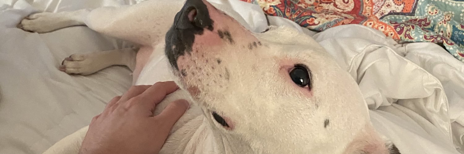 Tyler Scott🦚 banner