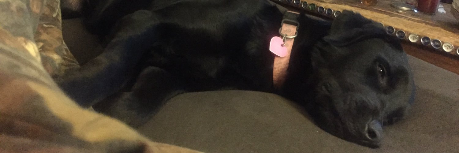 LeeThompson_'s profile banner image