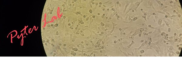 PyterLab Profile Banner