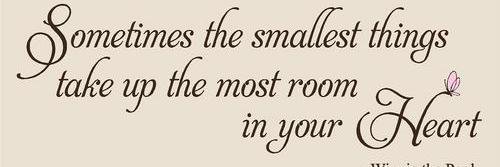 Vicky Edwards banner