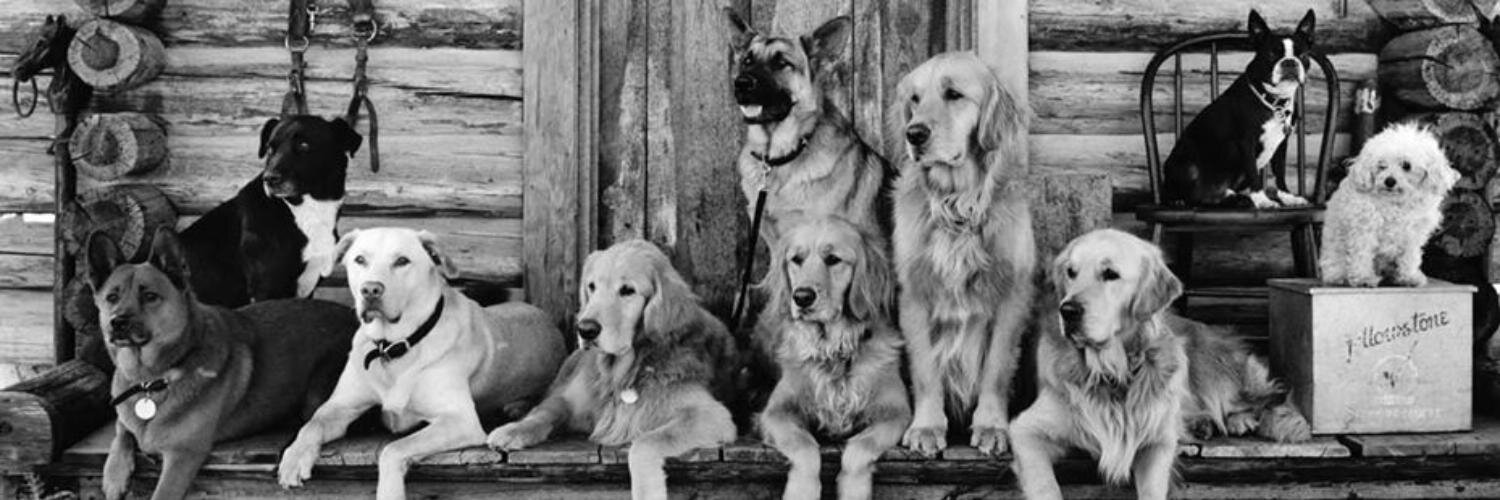 Andrea Mathias banner