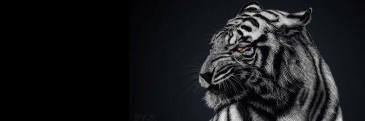 OBAIDA ALNIMER | عبيدة النمر banner