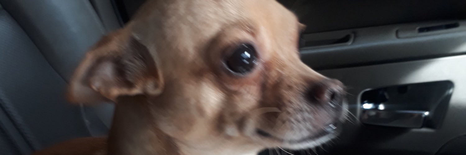 iremulusooy's profile banner image
