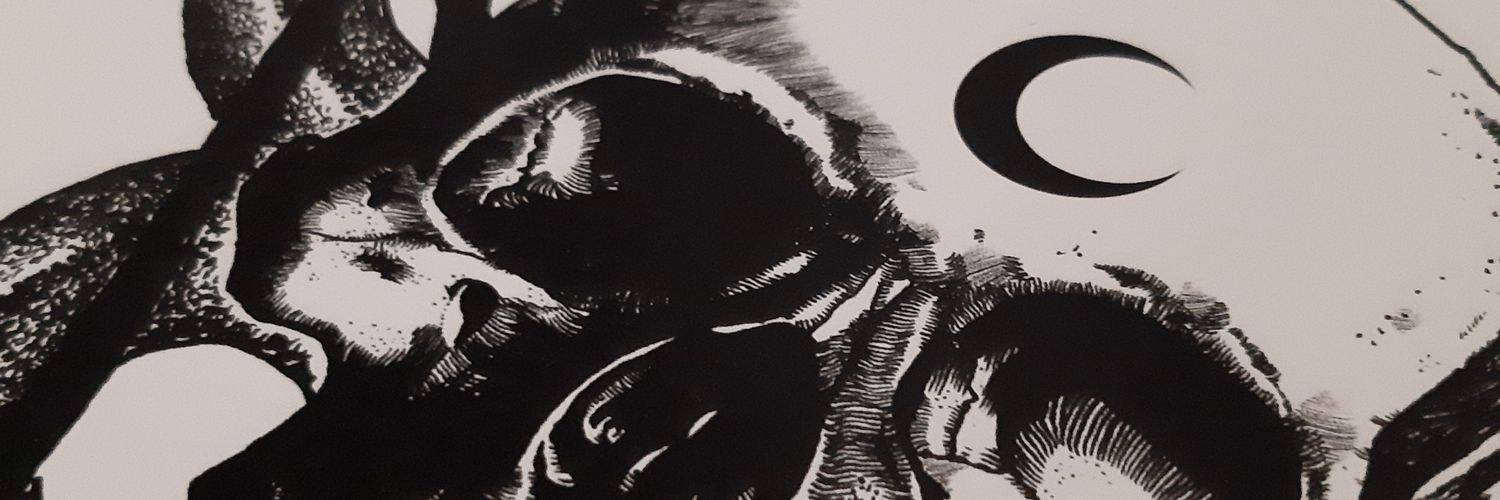 vespertime's profile banner image