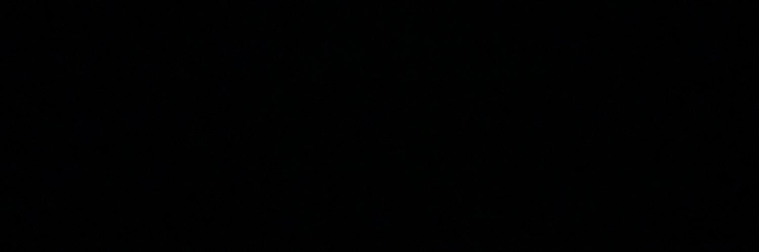 LeonardoDaGenZ's profile banner image