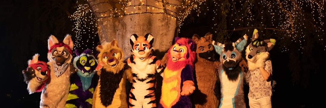 TMCfursuits's profile banner image