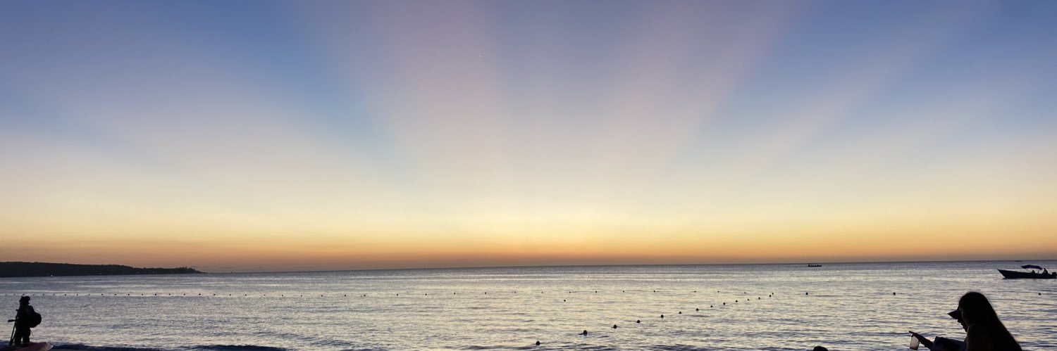 tami_sharoni's profile banner image
