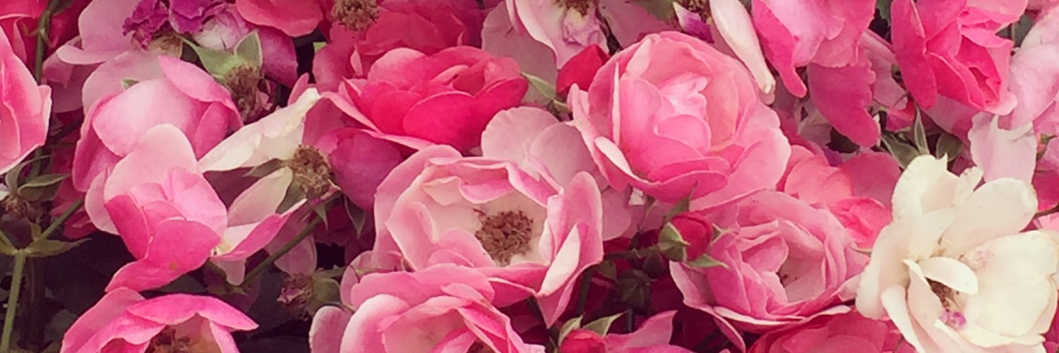 cccccrrrrr21's profile banner image