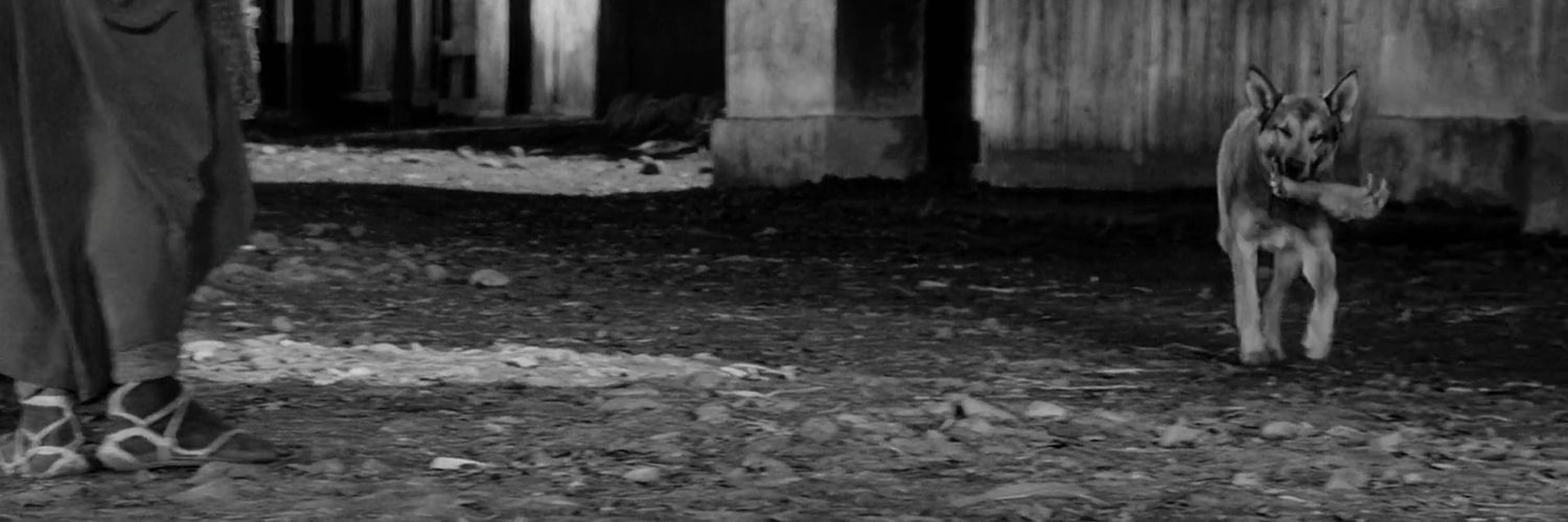 egiyoga's profile banner image