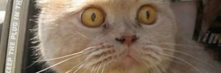 rayyrayy02's profile banner image