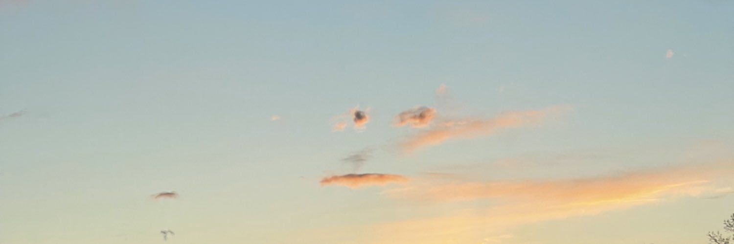 danycorral_99's profile banner image