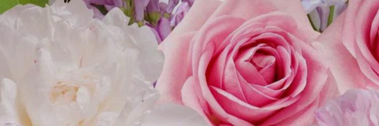 claudiapime's profile banner image