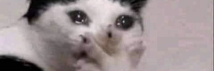 Alejhan Nezdoll banner