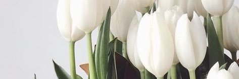brittdellezay's profile banner image
