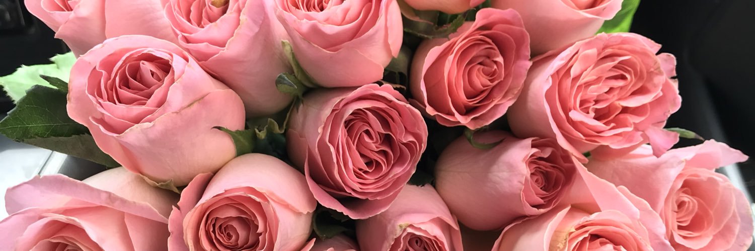 BarbaraRomo1's profile banner image