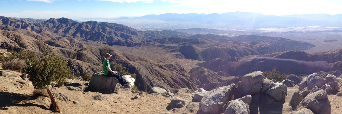 Ulrich Hölscher banner
