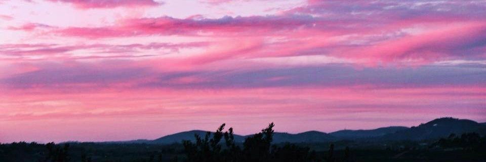whitney_dowler's profile banner image