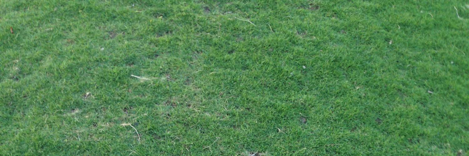 alghamta's profile banner image