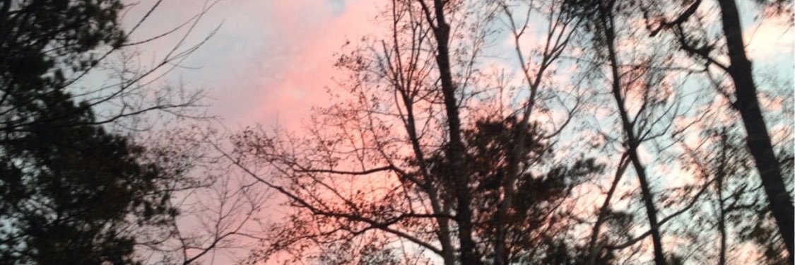 Brett_Nichole's profile banner image