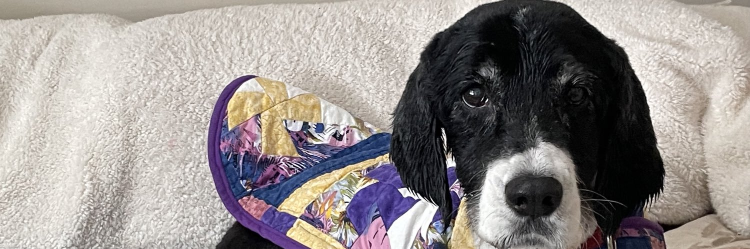 OlmstedNancy's profile banner image