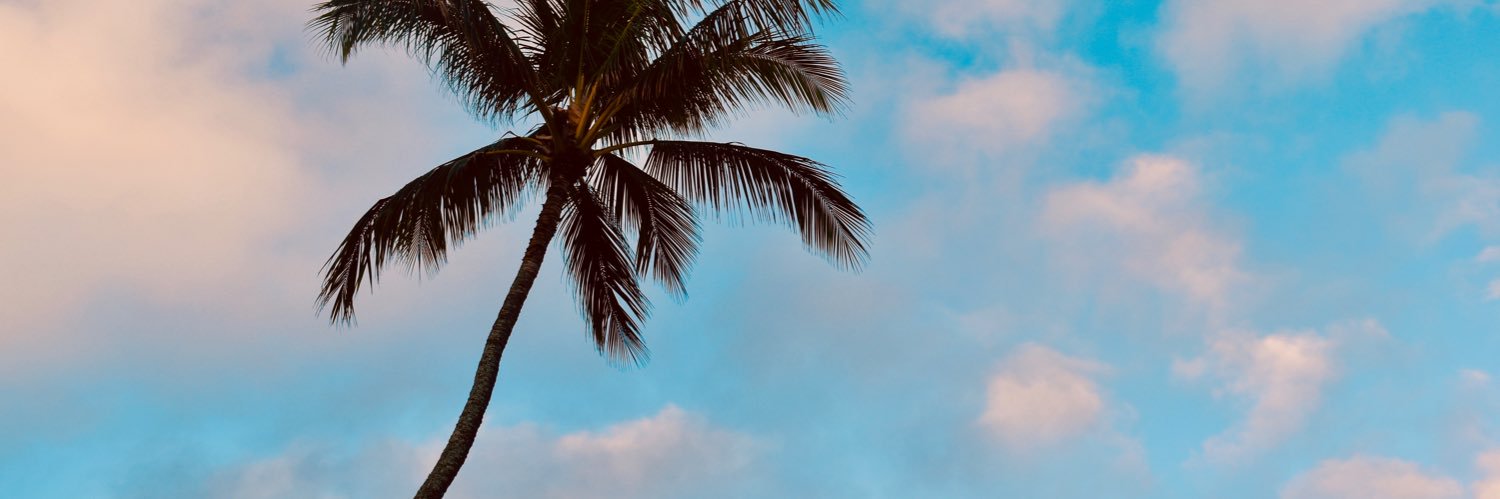 aloha_sydv's profile banner image