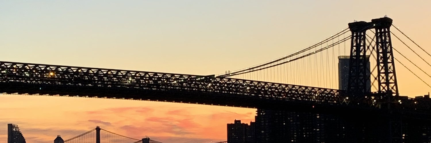 themelsig's profile banner image