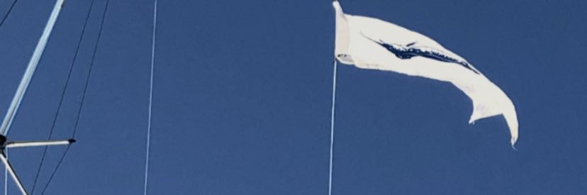 Deefloe's profile banner image