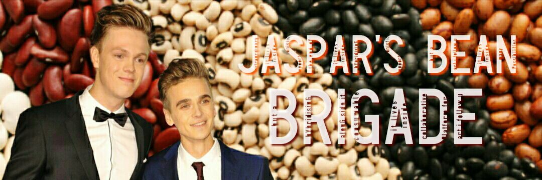 jasparsbeans's profile banner image