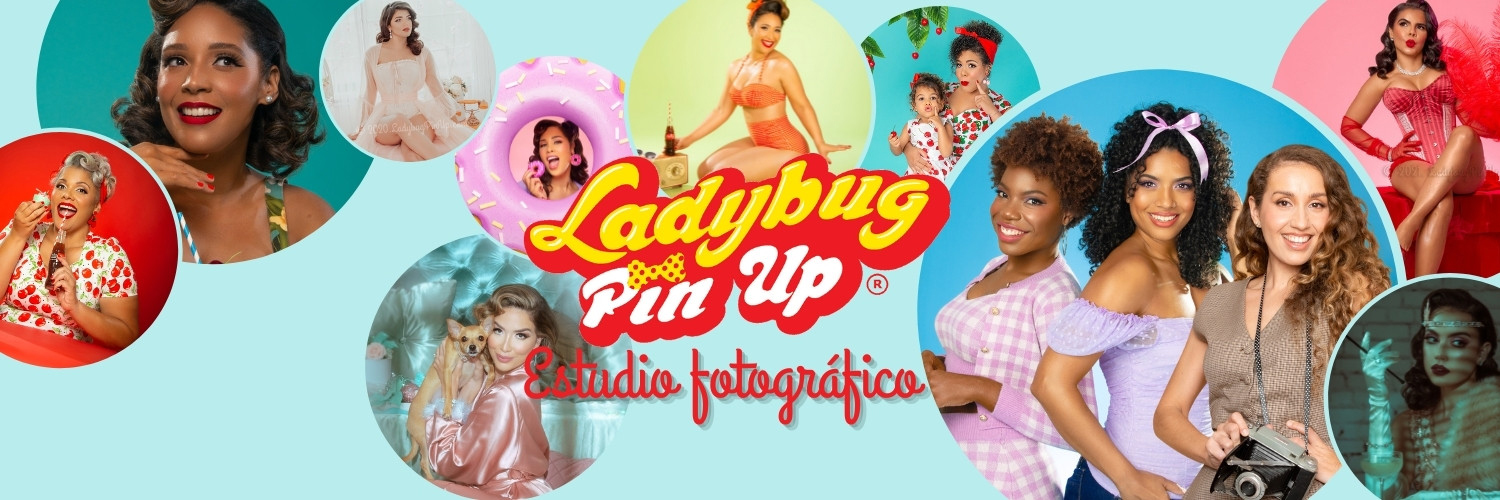 LadybugPinUp's profile banner image