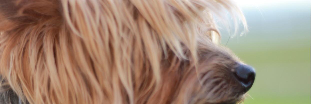 bleathefirst's profile banner image