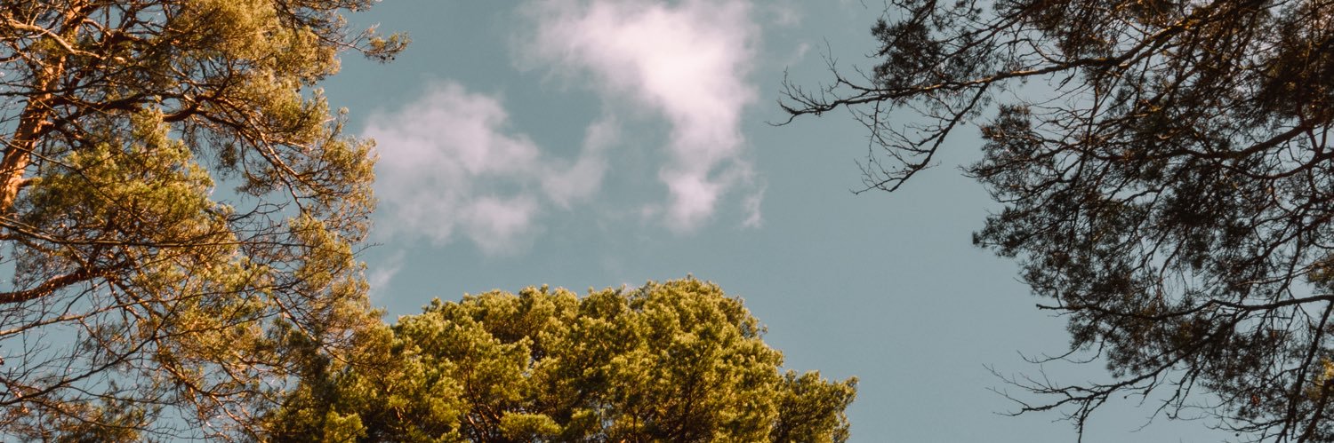 jojo_jenner's profile banner image
