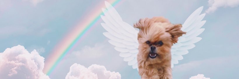 graciee_ross's profile banner image