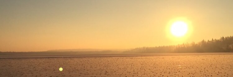 msexton95's profile banner image