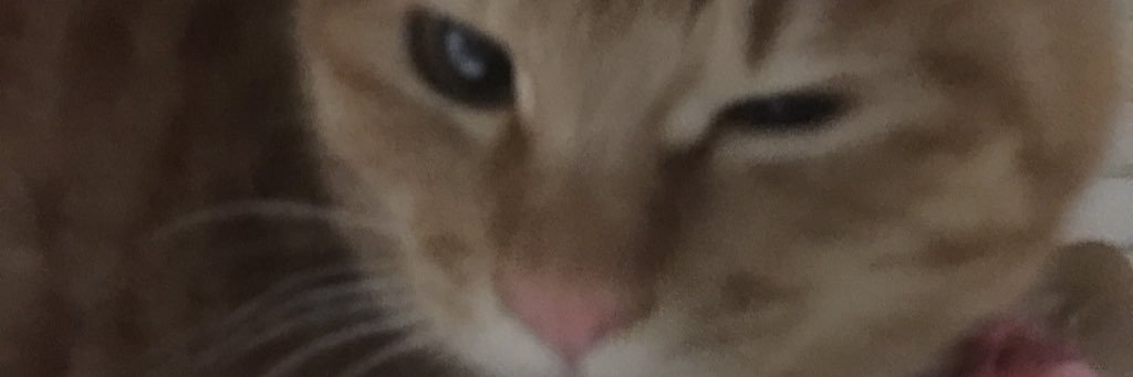 みんみん♡モッチャン☆湘南の風の君☆♡ banner