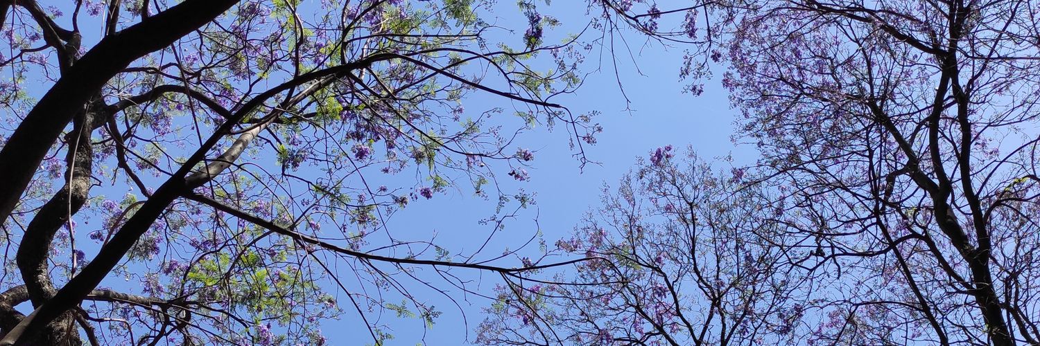 nyraw_'s profile banner image