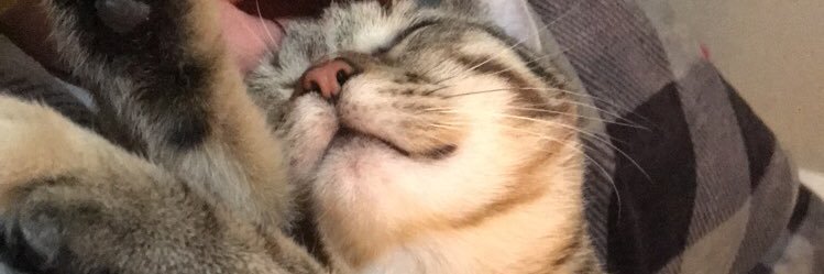 Miss_KPeder's profile banner image