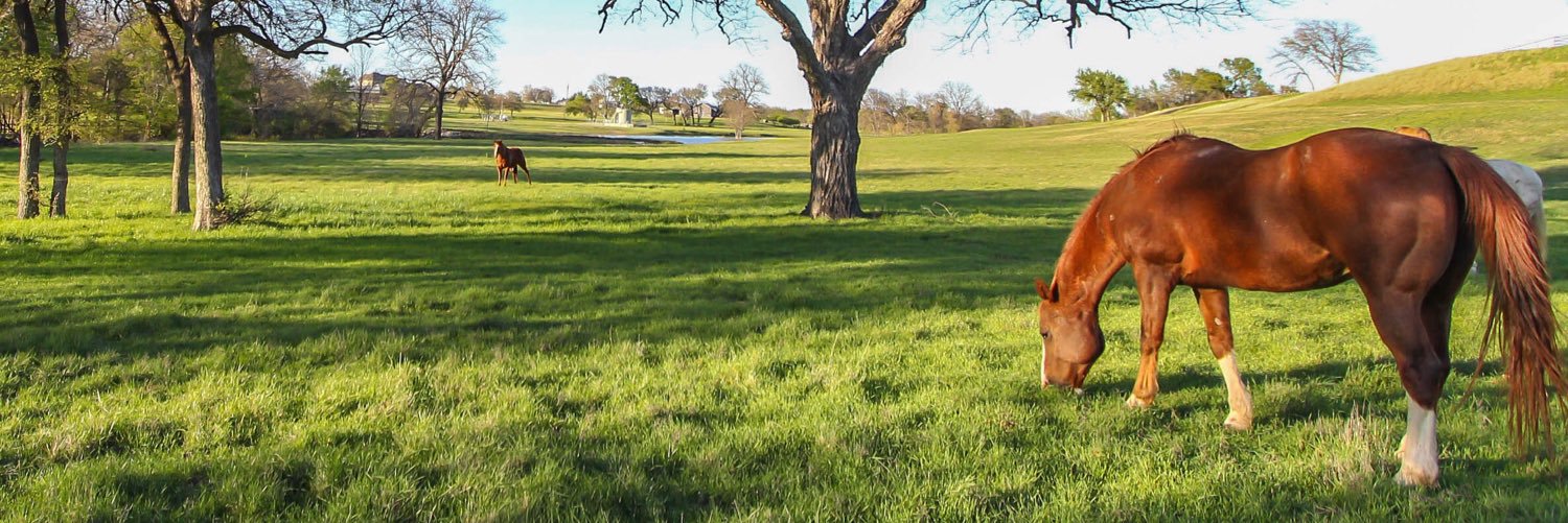 TeamRanchman's profile banner image