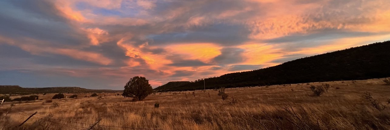 Baylee_Cheyenne's profile banner image