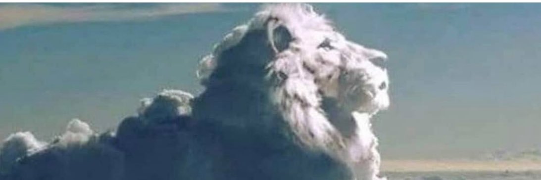 Geminidatwin11 banner