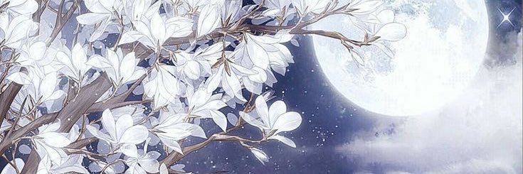 FlowerMaiden__'s profile banner image