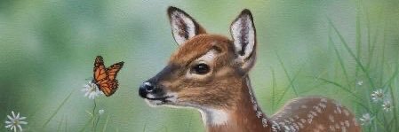 NotSoPunkRaq's profile banner image