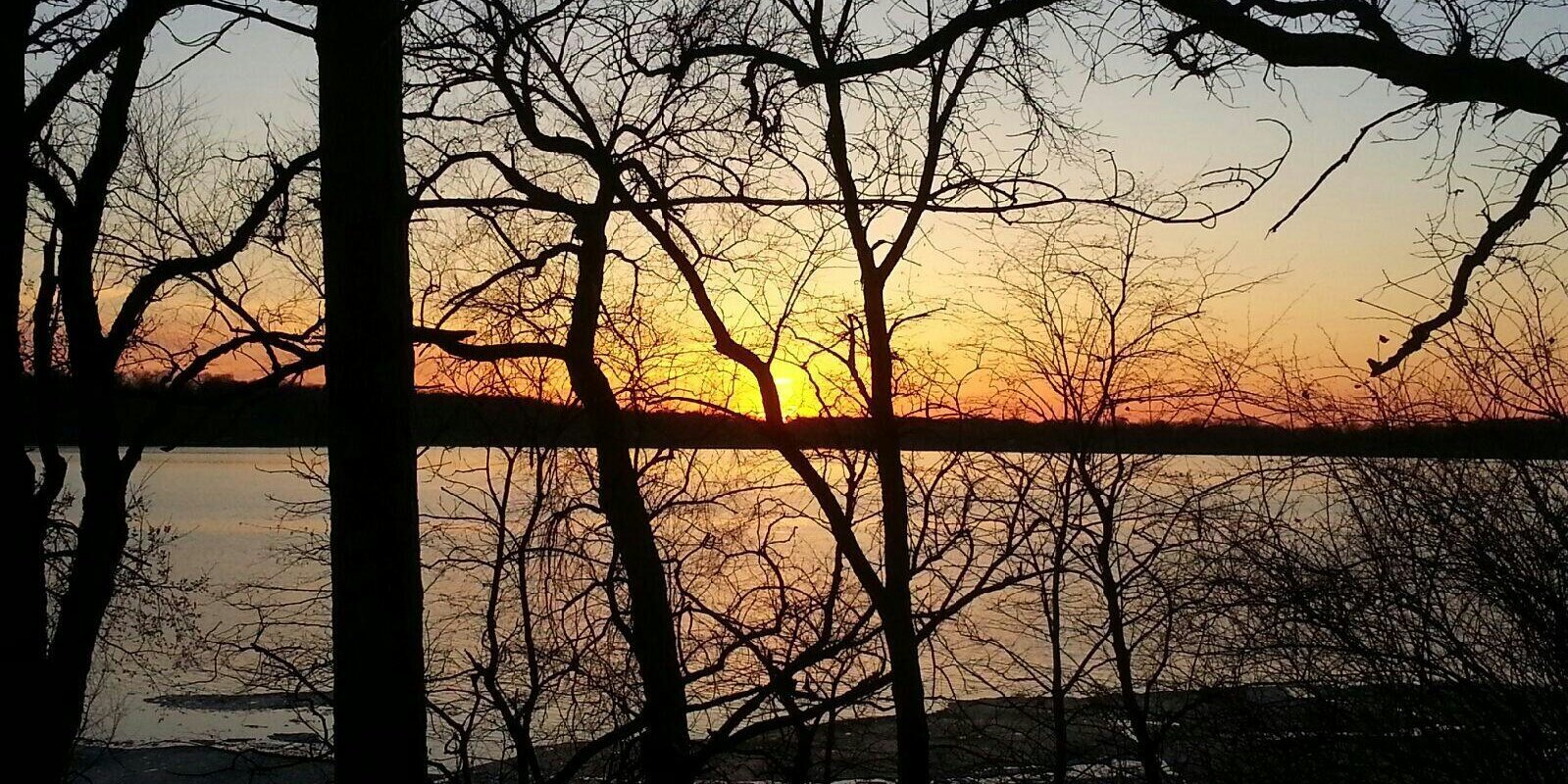 CBarney21's profile banner image