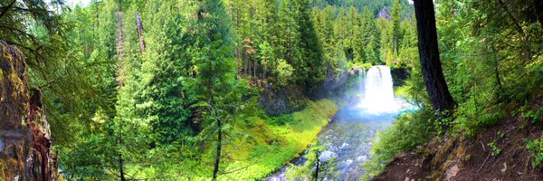 _pedromoran3 Profile Banner