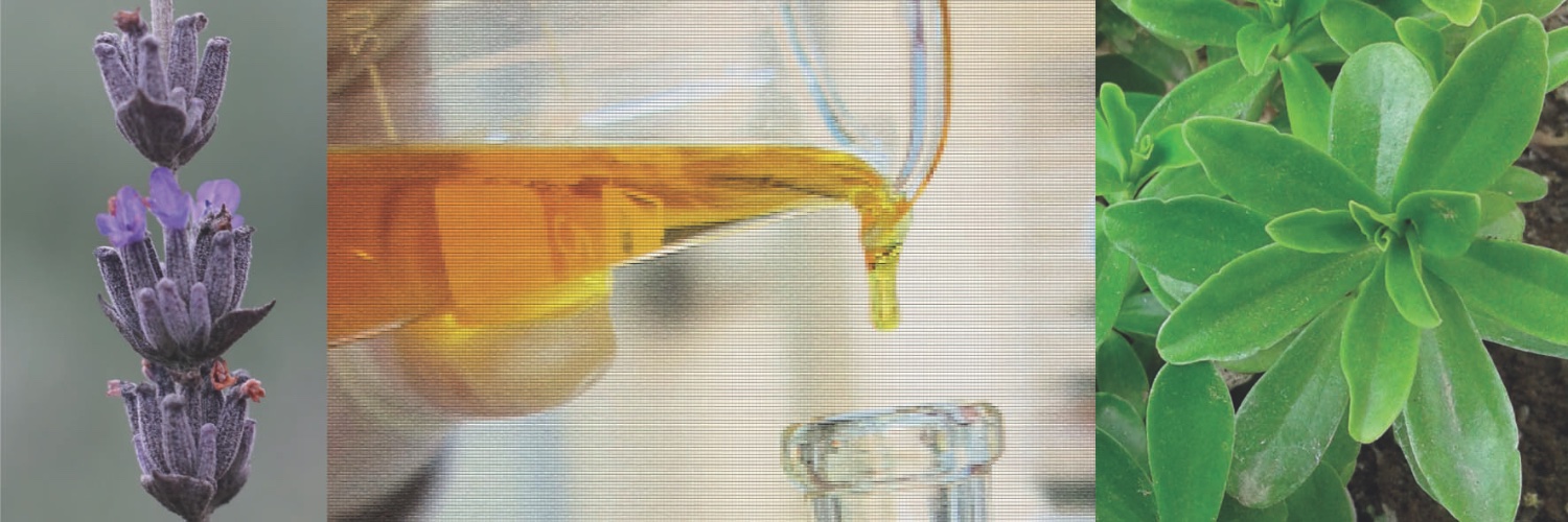 Aromavida_Ec's profile banner image