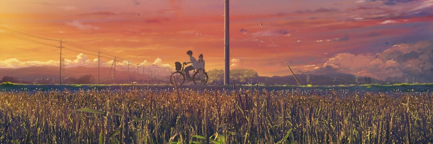 หมีสีน้ำตาลสามตัว banner