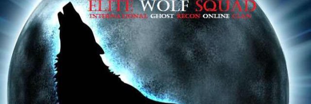 ElitEWolf12's profile banner image