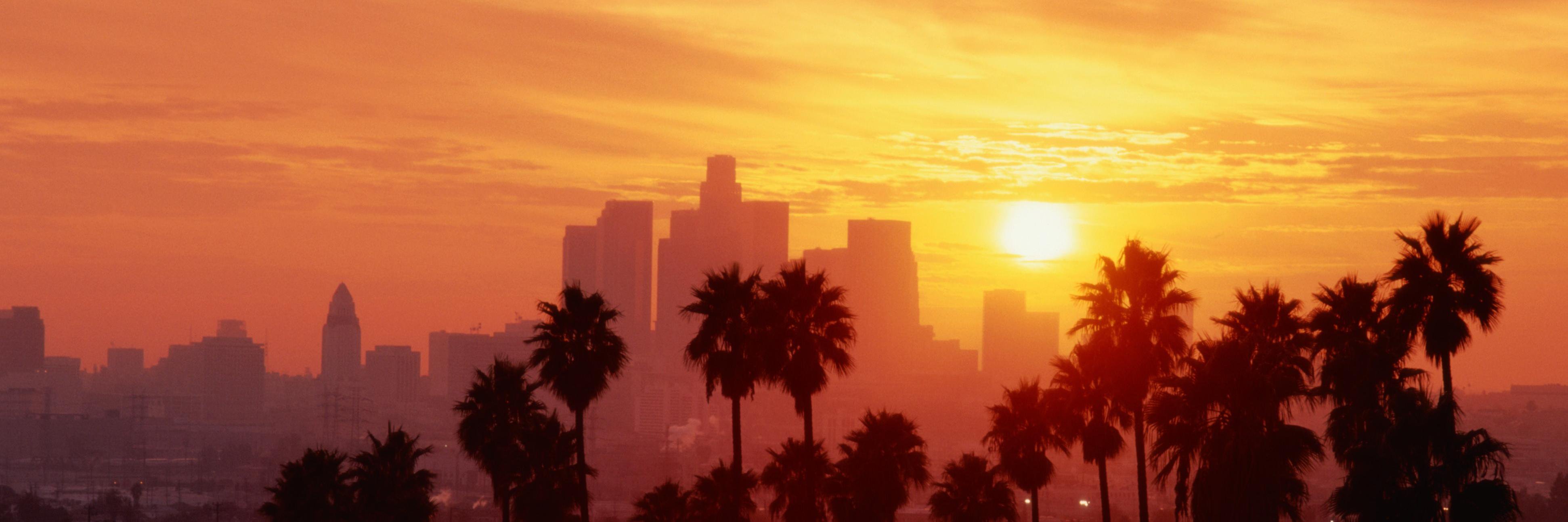 LAPulseMag's profile banner image